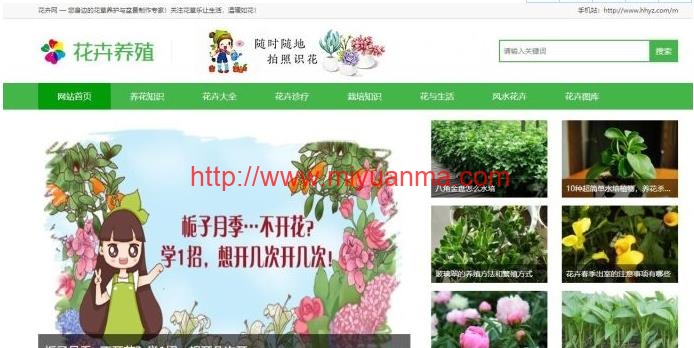 花卉养殖花百科原创织梦新闻资讯模板（带手机端）-觅源码网