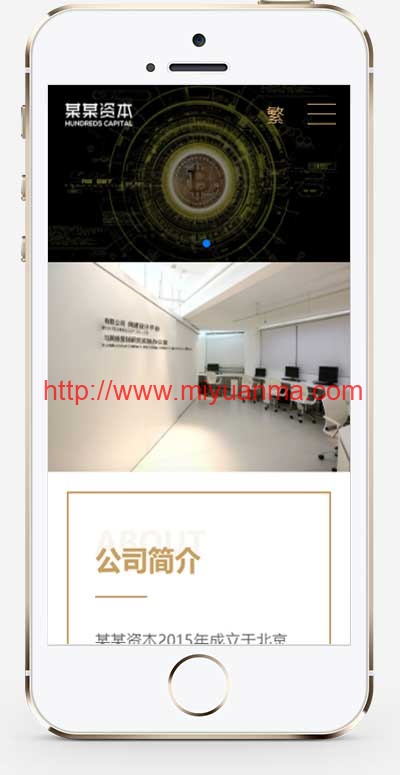 图片[1]-(自适应手机端)简繁双语响应式HTML5通用金融资本咨询网站单页pbootcms模板-觅源码网