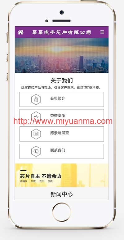 图片[1]-（自适应手机端）紫色响应式电子元件网站pbootcms模板 芯片研发设计网站模板-觅源码网
