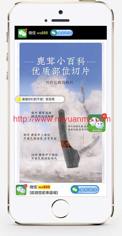 (独立手机版)营销推广落地页单页pbootcms模板-觅源码网