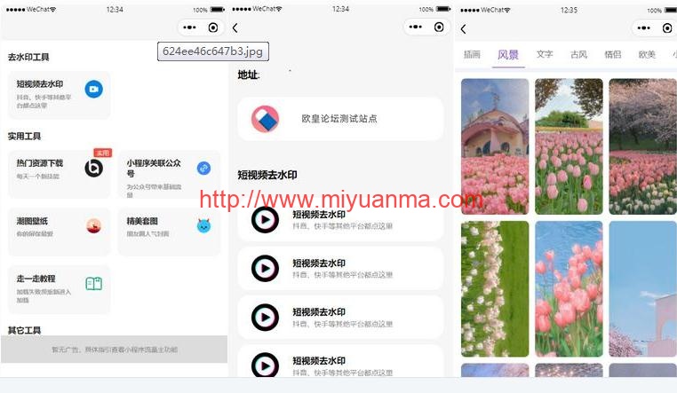 多接口带头像挂件制作短视频去水印微信小程序源码-觅源码网