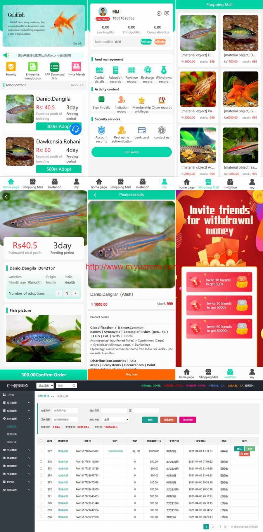 图片[1]-ThinkPHP内核区块链养鱼金融投资理财源码-双语言支持中英文商城源码-觅源码网