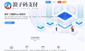 PHP支付系统/浪子Pay/码支付即时到账系统源码-觅源码网