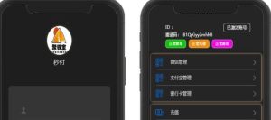 站长亲测源码/全新黑金支付跑分系统/微信支付宝跑分系统/大改UI修复多处BUG-觅源码网