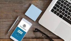 WordPress网站如何快速安装avada主题并导入demo教程分享-觅源码网