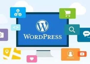 wordPress网站CDN的缓存命中率多少算合理？-觅源码网