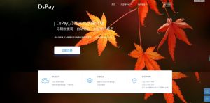 个码免签支付App监控无需输入金额+聚合支付后台源码+安装说明-觅源码网