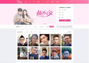 PHP源码/粉红色婚恋交友源码下载-觅源码网