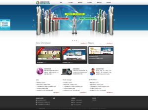 【ASP源码】SEO网络企业网站源码/网络建站网站源码（企业CMS程序）-觅源码网