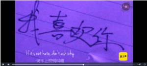 苹果CMSv10插件/本地解析播放器/videojs解析 整合苹果cmsV10程序-觅源码网