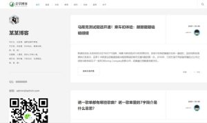 (自适应手机版)响应式极简个人文章博客自媒体类pbootcms模板-觅源码网