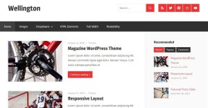 Wellington1.7主题/wordpress响应式杂志文章博客模板分享-觅源码网