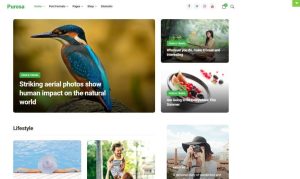 purosa.1.0.2主题/WordPress杂志个人商城博客模板分享-觅源码网
