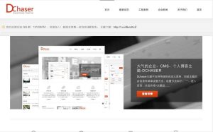国人原创免费主题/Dream Chaser主题/wordpress模板多功能企业工作室主题-觅源码网