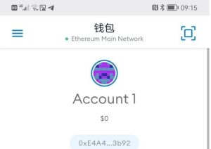 全网首发Metamask小狐狸盗助记词钱包源码附搭建教程-觅源码网