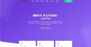 代付系统API+手工代付系统+代付系统+微信支付宝代付系统+代付程序+多平台对接-觅源码网