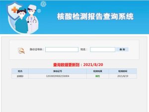 【ASP源码】核酸检测报告查询系统源码免费下载-觅源码网