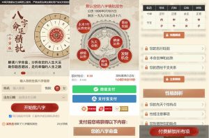 八字精批+测桃花运两套付费测算系统源码/完美对接支付结算-觅源码网