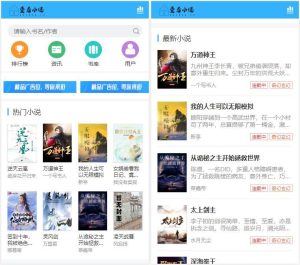 爱看小说网源码整站带数据打包 ThinkPHP内核-觅源码网