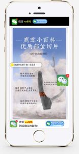 (独立手机版)营销推广落地页单页pbootcms模板-觅源码网