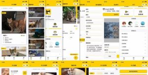 免费下载-校园流浪猫信息记录和分享的小程序源码-微信云开发中大猫谱小程序源码-觅源码网