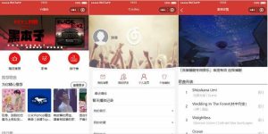 仿网易云音乐的YY音乐微信小程序源码-觅源码网