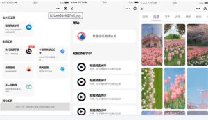 多接口带头像挂件制作短视频去水印微信小程序源码-觅源码网