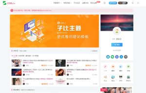 wordpress主题破解版本Zibll子比主题V6.5最新完美破解版-觅源码网