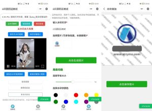 简约短视频去水印加图片多样化加水印微信小程序源码下载支持多流量主-觅源码网