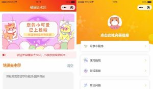 橘猫视频去水印微信小程序源码-自定义接口-PHP后端对接-觅源码网