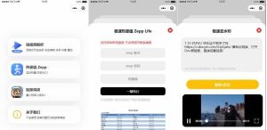 短视频去水印-刷步数-别踩鸡块合集小程序源码带流量主-觅源码网