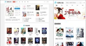 狂雨小说系统带全部插件-真正可以运营的小说站点系统源码-觅源码网