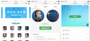 王者荣耀战力查询空白名生成小程序源码-觅源码网