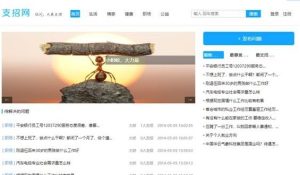 支招网问答系统-基于thinkphp的问答系统源码-觅源码网