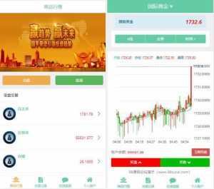 2021首款运营级币圈,微盘带结算,完整服务器打包+K线可用-觅源码网