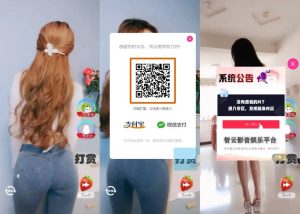 H5随机短视频滑动版带打赏源码，可封装APP软件或嵌入式观看-觅源码网