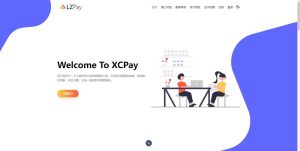 浪子易支付全新源码-觅源码网