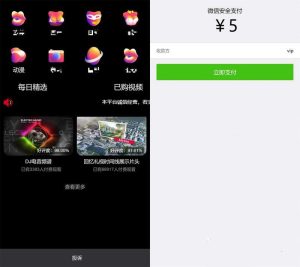 最新版新UI包天付费视频打赏程序 带包天+可扣量+代理+多模板非云赏V系列-觅源码网