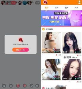 最新女神大秀直播间打赏视频an雷付费观看网站源码 自带直播数据-觅源码网