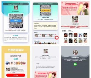 wp付费进群系统V3源码-开心版，附绕授权教程-觅源码网